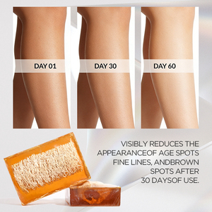 <span class=keywords><strong>Savon</strong></span> Solide Exfoliant et Séborégulateur Végétalien Fait Main au Loofah et aux Huiles Essentielles pour Tous Types de Peau - Product Image 4