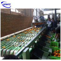 Kleine fruit sorteermachine, fruit- en groentesorteermachine