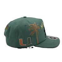 Gorra Snapback Ajustable de 5 Paneles con Bordado, Estilo Urbano Vintage, Unisex, Color Verde Azulado, Diseño Gráfico de Palmera Ibis