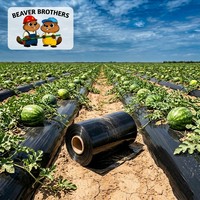 Film plastique agricole noir en PE pour agriculture commerciale, rouleau de 115 cm x 72 cm, transparent, lisse et rigide