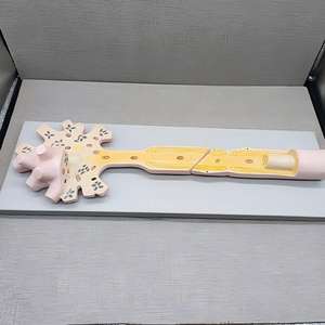 Modèle de structure du corps cellulaire du nerf et de <span class=keywords><strong>la</strong></span> fibre nerveuse - Aide pédagogique d'anatomie neurologique agrandie pour l'éducation en <span class=keywords><strong>neurosciences</strong></span> - Product Image 4