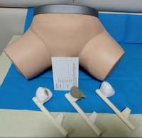 Mannequin d'enseignement médical modèle anatomique de simulateur d'examen de la prostate humaine éducatif pour l'examen de la prostate