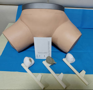 Model anatomi ujian prostat manusia pendidikan manekin pengajaran medis untuk pemeriksaan prostat - Product Image 2