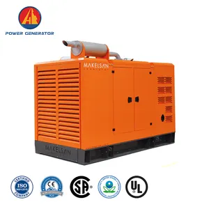 [PMG 교류 발전기] 80kW 100kVA 디나모 디젤 발전기 최고 중국 제조업체 OEM 옵션 사용 가능한 Grupel 스타일 복제