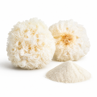 Tremella Fuciformis Extract, Sneeuwzwamextract, Witzwamextract voor huidverzorging, cosmetica, dranken en gezondheidsproducten