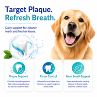 Poudre enzymatique nettoyante dentaire pour chiens avec probiotiques, contrôle avancé de la plaque et du tartre pour animaux de compagnie, sans brossage, pot de 100g