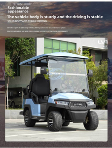 Voiturette de golf électrique 2 places 48V 5kW, structure simple, entretien facile - Product Image 6