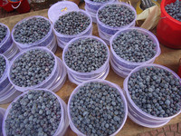 Europese Bosbes/Vlierbessen/Moerbei Fruit/Zwarte Bessen/Blueberry Extract 25% Anthocyanidins Extract