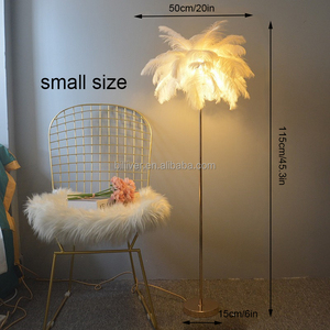Lampadaire <span class=keywords><strong>plume</strong></span> chevet blanc <span class=keywords><strong>plume</strong></span> d'autruche coin debout lumière pour salon lampe <span class=keywords><strong>plume</strong></span> d'autruche - Product Image 2