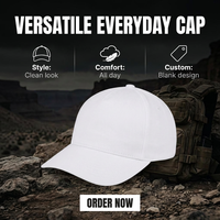 Op maat gemaakte OEM baseball caps, hoogwaardige petten met 3D geborduurd logo, sport- en outdoor petten, fitted cap, golf petten, gorras, sombrero's, baseball petten
