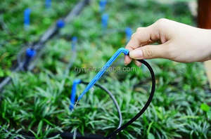 การให้น้ําแบบหยด สี่สาขา ชลประทานลูกศรหยด พร้อมท่อและดริปเปอร์พีซี - Product Image 6