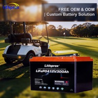 Batterie LiFePO4 12,8 V 300 Ah à décharge profonde pour voiturette de golf, faible autodécharge, marine, camping-car, solaire, avec connecteur CAN Anderson