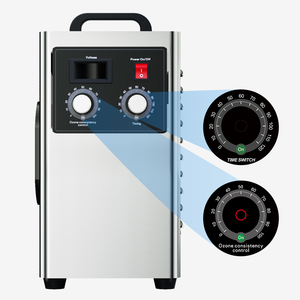5G 10G 15G 20G 30G Machine mobile de désinfection à l'ozone Traitement de l'air/eau Générateur d'ozone à double usage