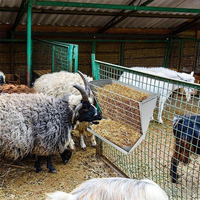 Support mural en acier galvanisé robuste pour chèvres moutons chevaux Qualité supérieure Installation facile Mangeoire Fabrication métallique