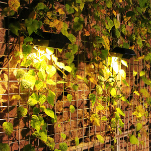 Lampe solaire extérieure Xinyao pour garde-corps, étanche, LED, pour escalier, mur, jardin, clôture, marche, décoration nocturne - Product Image 4