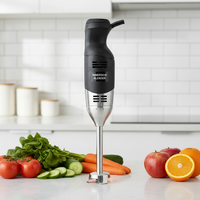Mixeur Plongeant Commercial Mini 250W, 8 Vitesses Réglables, Capacité 10L, pour Soupe, Sauce, Purée, Cuisine