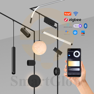 5Mm Cực Kỳ Hẹp Nam Châm Theo Dõi Đường Sắt Dc24v Từ Spotlight Tracklight Thông Minh Tuya <span class=keywords><strong>Wifi</strong></span> <span class=keywords><strong>LED</strong></span> Từ Theo Dõi Hệ Thống Ánh Sáng - Product Image 4