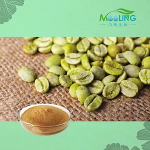 Hot bán màu xanh lá cây chiết xuất hạt cà phê bột màu xanh lá cây chiết xuất hạt cà phê 50% axit chlorogenic