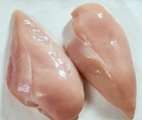 Poitrine de poulet congelée, sans os ni peau, à vendre en gros, prix d'usine, fournisseur chinois