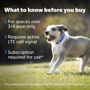 ปลอกคอสุนัข PetSafe Guardian GPS พร้อมระบบติดตามแบบเรียลไทม์ ไร้สาย สีฟ้า ทำจากไนลอนและพลาสติก รองรับบลูทูธ ใช้งานร่วมกับ iOS ได้ - Product Image 3