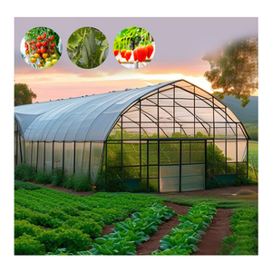 Serres agricoles latérales 8x30m de grande taille pour tomates, avec structure en acier galvanisé à chaud, film plastique PE, irrigation et panneaux solaires - Product Image 1