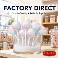 Sucettes Dextrose Dures Sans Sucre Certifiées Casher, Bonbons Aromatisés aux Fruits sur Bâtonnet en Sachet, Logo Personnalisé OEM, Vente en Gros