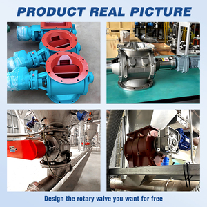 Alimentatore Rotativo a Tasca per Sistemi di Trasferimento Polveri Industriali - Produttore OEM - Product Image 5