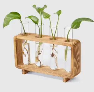 pine test tube wooden plant flower stand display stand desktop plant stand