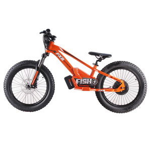 Scooter électrique pour enfants de <span class=keywords><strong>20</strong></span> <span class=keywords><strong>pouces</strong></span> 800W 5.0AH étanche lithium intégré 36V vélo d'équilibre de course électrique - Product Image 5