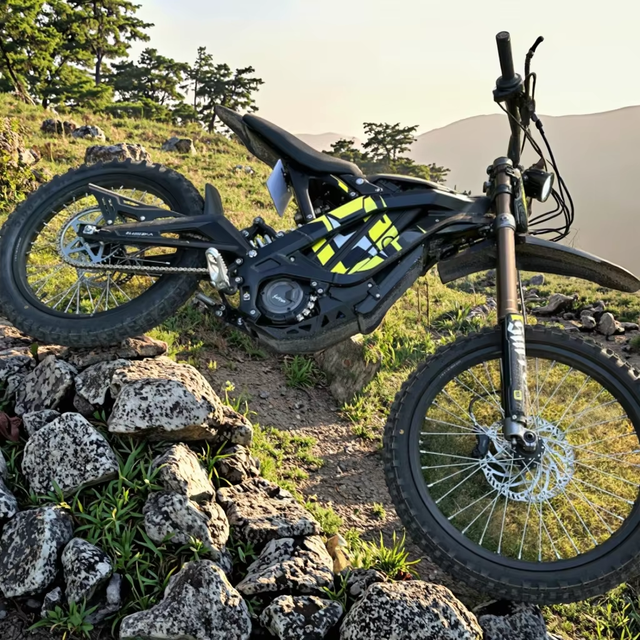 2025 Latest Black Edition  Light Bee X Sur Ron Ultra Bee Surround LBX Electric Mountain Bike