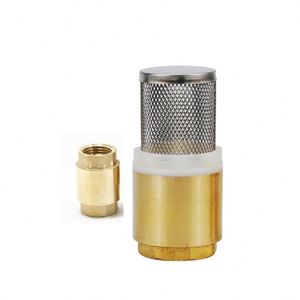 <strong>Ivanci</strong> Hot -sale Chinese Brass Spring Check Valve with SS Filter - Product Image 4