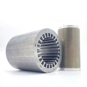 Stator dan <span class=keywords><strong>Rotor</strong></span> Baja Silikon untuk Generator Pompa Mortar dan <span class=keywords><strong>Alternator</strong></span> Magnet Permanen - Product Image 6