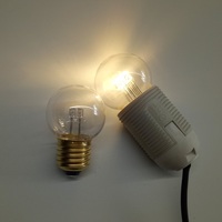 Ampoules LED décoratives G45 1W E27 en plastique, blanc chaud 2700K 3000K, 230V 24V, pour éclairage extérieur