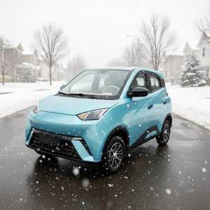 Véhicules électriques miniatures neufs de luxe à énergie nouvelle, avec <span class=keywords><strong>batterie</strong></span> au lithium ou au plomb-acide, 1,5 kW, mignons et de petite taille, pour la vente en gros à <span class=keywords><strong>prix</strong></span> réduit - Product Image 3