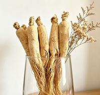 Racine de ginseng du Jilin pour les fabricants d'aliments santé, les distributeurs d'herbes et les pharmacies de médecine traditionnelle chinoise