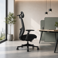Chaise de bureau ergonomique en maille OEM ODM avec soutien lombaire, chaise de travail confortable pour ordinateur, certifiée CE BIFMA