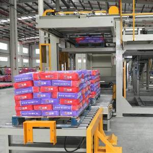 Machines de palletisation de haut niveau à grande vitesse automatiques pour des sacs de valve de poudre de mastic de poudre de gypse - Product Image 3