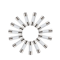 Fusible en verre à micro-courant 5x20mm 0.05A à 1A à fusion rapide 250V Tube transparent Pièces de circuit pour ARM Cortex CPU Microcontrôleur