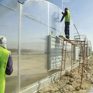 Estufa de policarbonato para morango em túnel agrícola