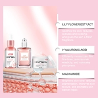 Ensemble de soins de la peau pour le visage hydratant rose, anti-âge, raffermissant et éclaircissant, à l'acide hyaluronique, à la niacinamide et à la vitamine E, marque privée