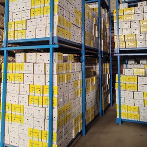 Buon prezzo 2025 vendite calde nuovo aglio fresco con 10KG /20KG sacchetto della maglia rosso aglio e puro aglio bianco per il commercio all'ingrosso - Product Image 6