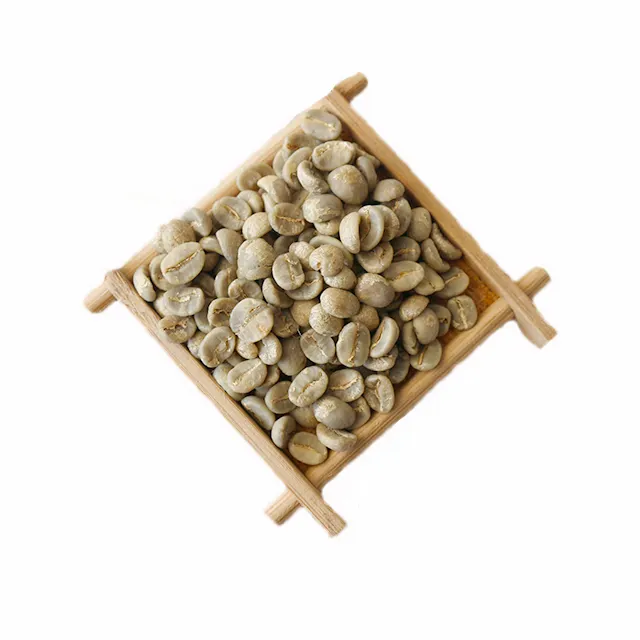 Haricots de café vert, d'apprentissage en coton, avec excellente qualité
