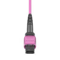 16 brins 16 fibres centre de données OM4 connecteur de câble de sortie multi-mode MPO femelle vers cordon de raccordement à fibre optique LC