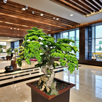 Grand arbre artificiel en pin bonsaï de luxe de 1,7 m, écologique, décoratif pour l'intérieur/l'extérieur, en fibre de verre + plastique