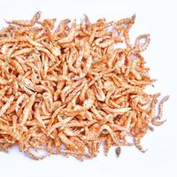 Produit pour animaux de compagnie Petit quantité minimale de commande Bonne qualité Sain Lyophilisé Friandises pour animaux de compagnie Krill Lyophilisé Crevettes Friandises naturelles pour chiens Friandises pour animaux de compagnie