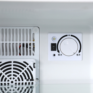 Refroidisseur électrique portable compact <span class=keywords><strong>40L</strong></span> à porte unique sans gel Réfrigérateur thermoélectrique à faible bruit pour usage domestique pour les hôtels Minibars - Product Image 4