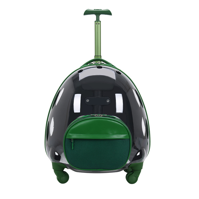 Style 1&nbsp;: Vert semi-transparent