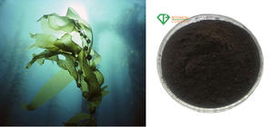 B.C.I Abastecimento Food Grade Natural Algas Extrato Em Pó Fertilizante Orgânico Solúvel Em Água Trealose Em Pó Fertilizante - Product Image 3