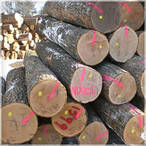 Roble Rojo para Aserraderos y Muebles DIY para la Industria del Mueble - Product Image 1