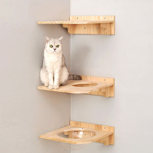 Struttura per arrampicata a parete in legno per attività, - Product Image 4